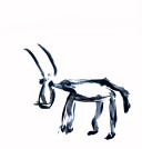 a vacch